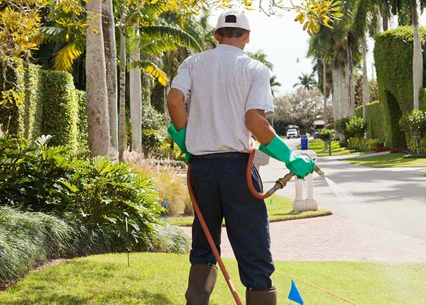About Geismar LA Pest Control